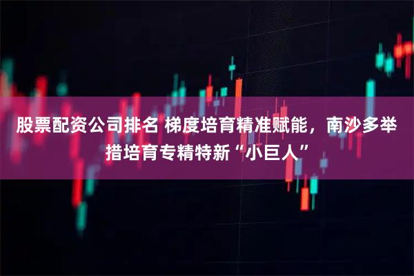 股票配资公司排名 梯度培育精准赋能，南沙多举措培育专精特新“小巨人”