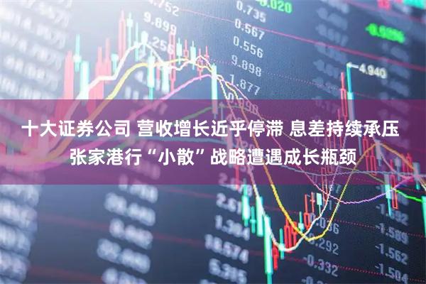 十大证券公司 营收增长近乎停滞 息差持续承压 张家港行“小散”战略遭遇成长瓶颈