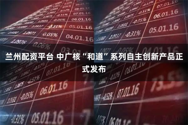兰州配资平台 中广核“和道”系列自主创新产品正式发布